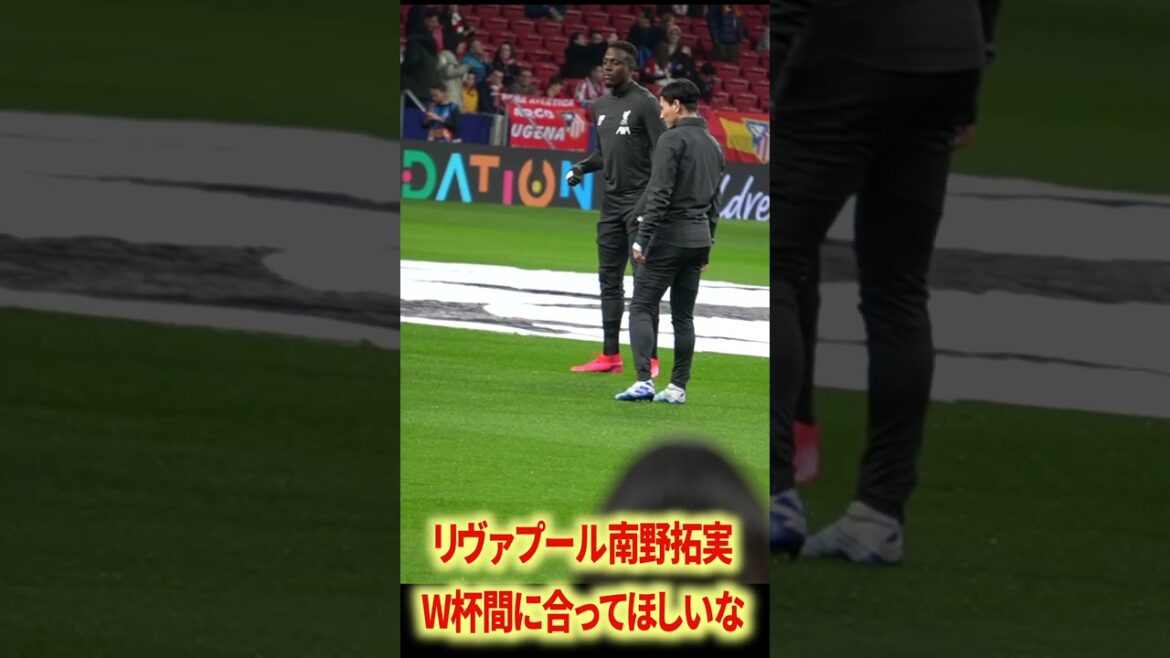 南野×フィルミーノの関係性最高 南野×フィルミーノの関係性最高