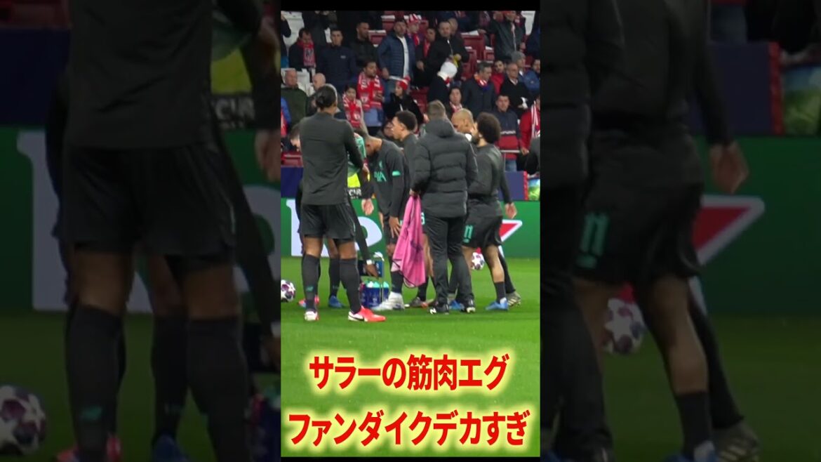 アリソン&ファンダイク圧倒的オーラ アリソン&ファンダイク圧倒的オーラ