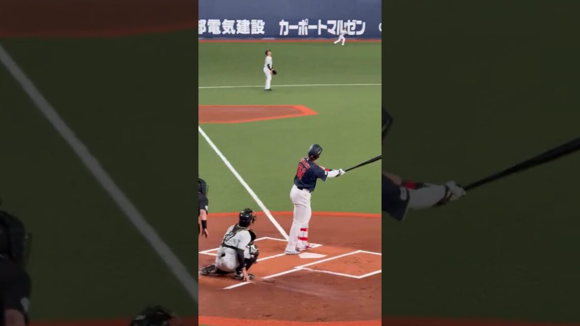 鈴木誠也 5階席に飛び込む特大ホームラン #野球 #baseball #プロ野球 #鈴木誠也 #大谷 #大谷翔平 #侍ジャパン #カープ #広島カープ #sports #wbc