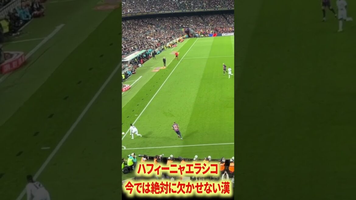 バルサのファイターハフィーニャ×ガビ バルサのファイターハフィーニャ×ガビ