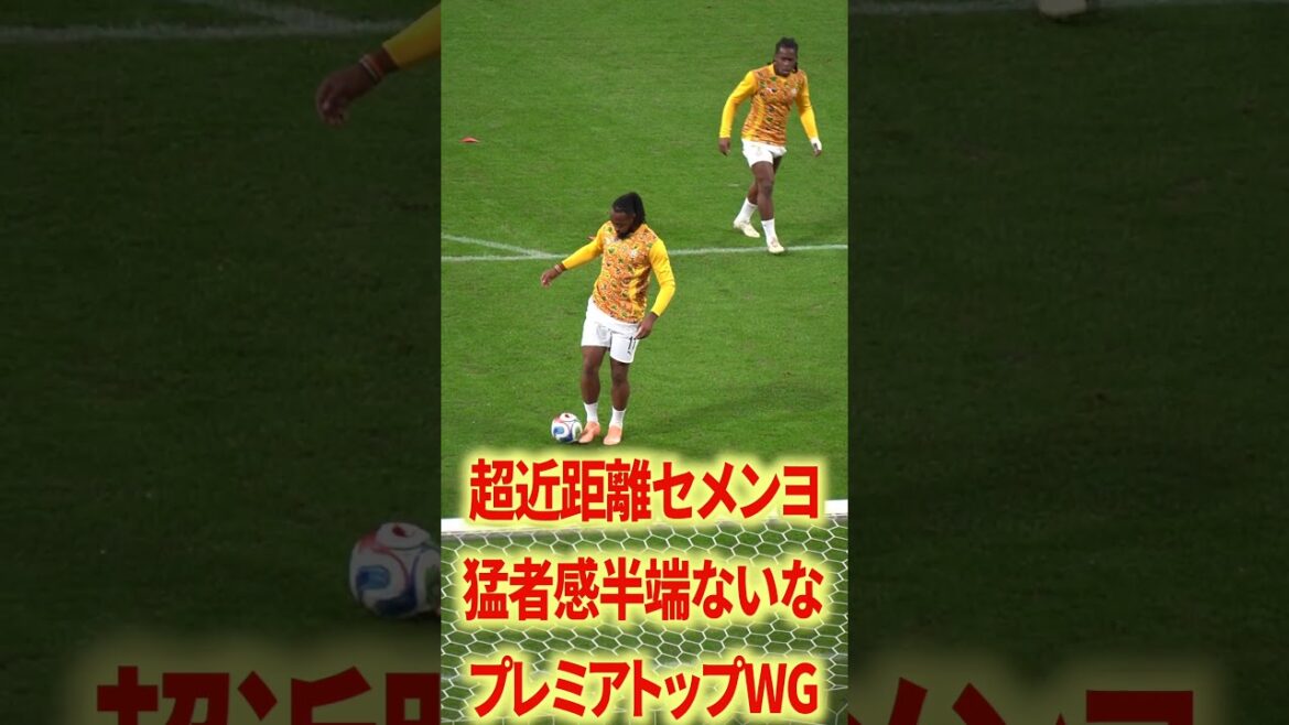 生セメンヨ今ではシティ 生セメンヨ今ではシティ