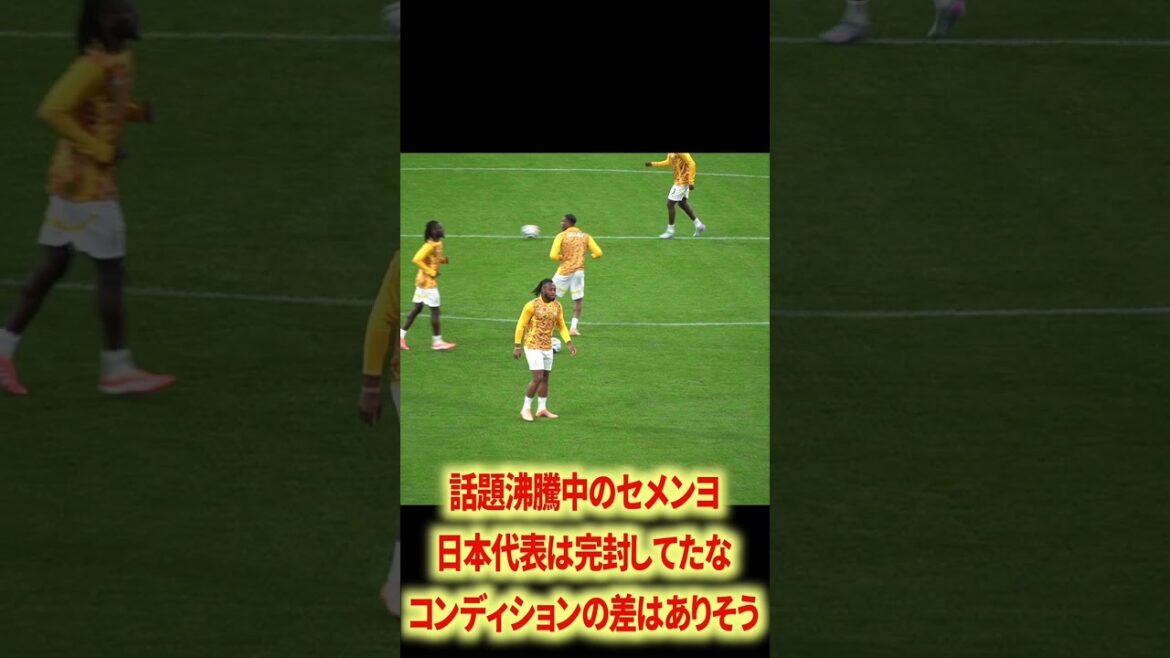 セメンヨ半端ないわ