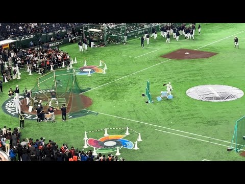 【WBC2026】 大谷翔平打撃練習まとめ