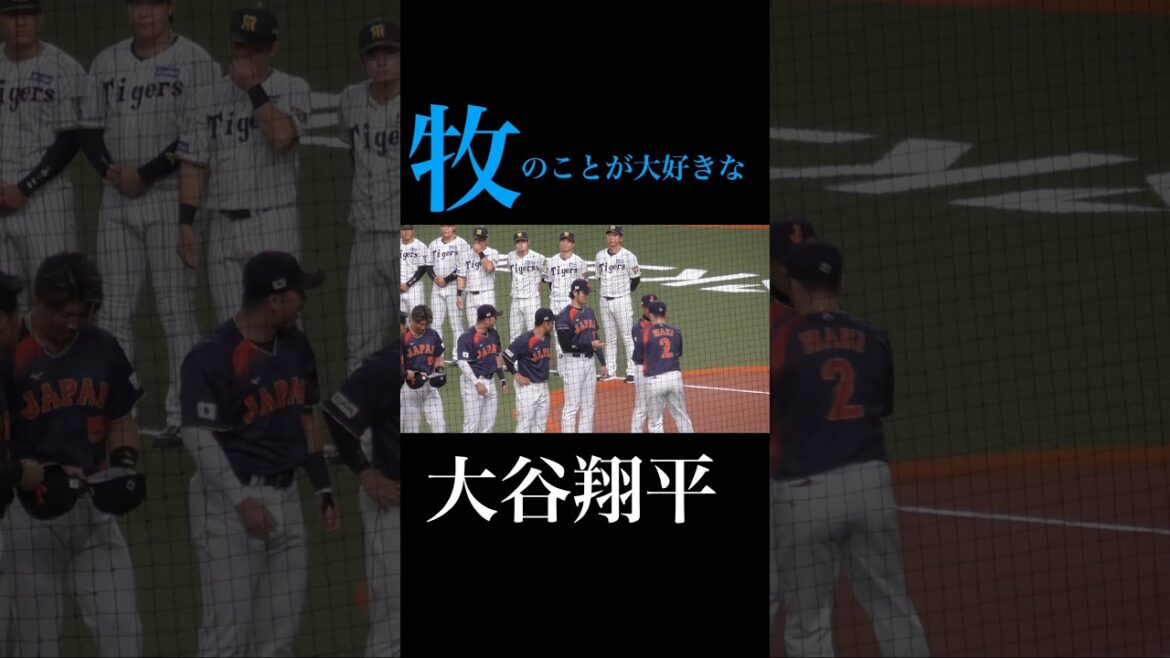 牧のことが大好きな大谷翔平 #dodgers #ohtani #wbc