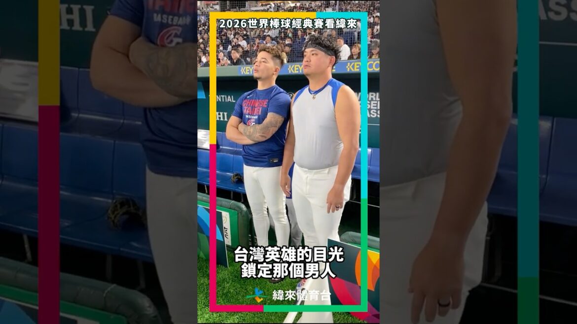 台灣英雄的目光 鎖定哪個男人#大谷翔平 #wbc # teamtaiwan
