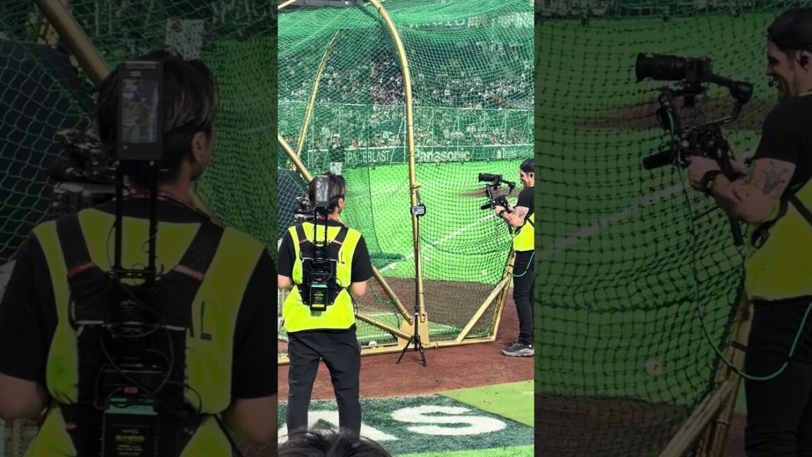 大谷翔平賽前打擊練習 #baseball #ohtani #大谷翔平 #wbc