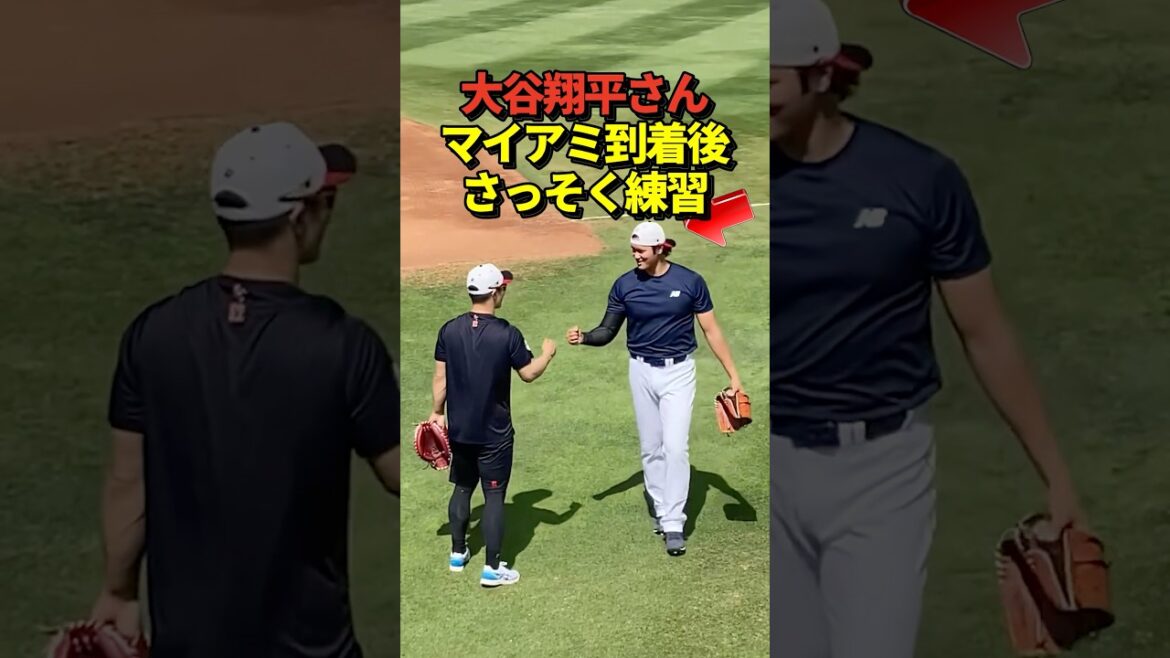 侍JAPANがマイアミ到着!大谷翔平選手が誰よりも早く練習していると話題に!