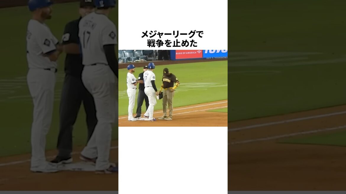 報復の連鎖を止めた大谷翔平 #野球 #プロ野球 #野球雑学 #mlb #大谷翔平