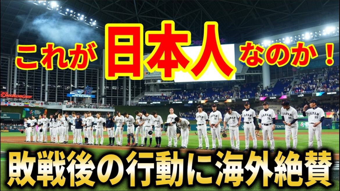 【大谷翔平】WBC敗戦後日本代表選手のふるまいとベンチの様子に海外大絶賛!大谷が試合後絶賛した阪神森下翔太と佐藤輝明に米MLBが熱視線!【大谷翔平/海外の反応】