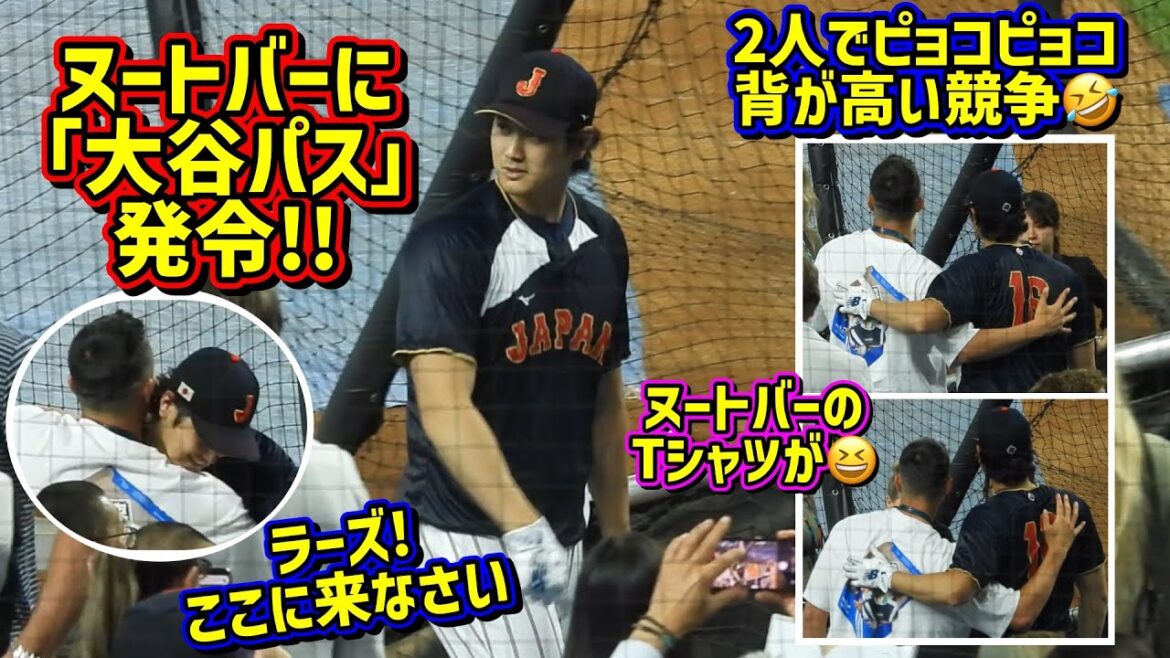再会‼️ヌートバーに大谷パス発令😆思い出の地で仲良すぎな2人が最高だった【現地映像】WBC準々決勝ShoheiOhtani