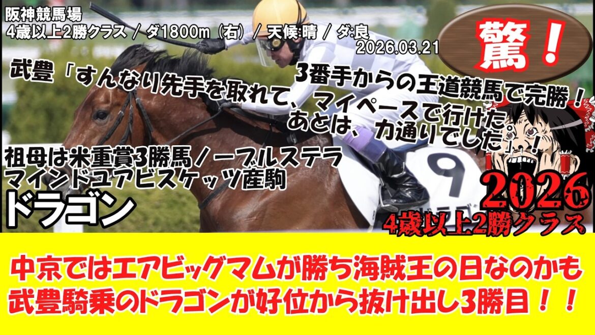 【競馬】 驚き！今日は海賊王の日なのかも！？王道競馬で完勝！ 4歳以上2勝クラス (2026.03.21・阪神8R) 2026 / ドラゴン