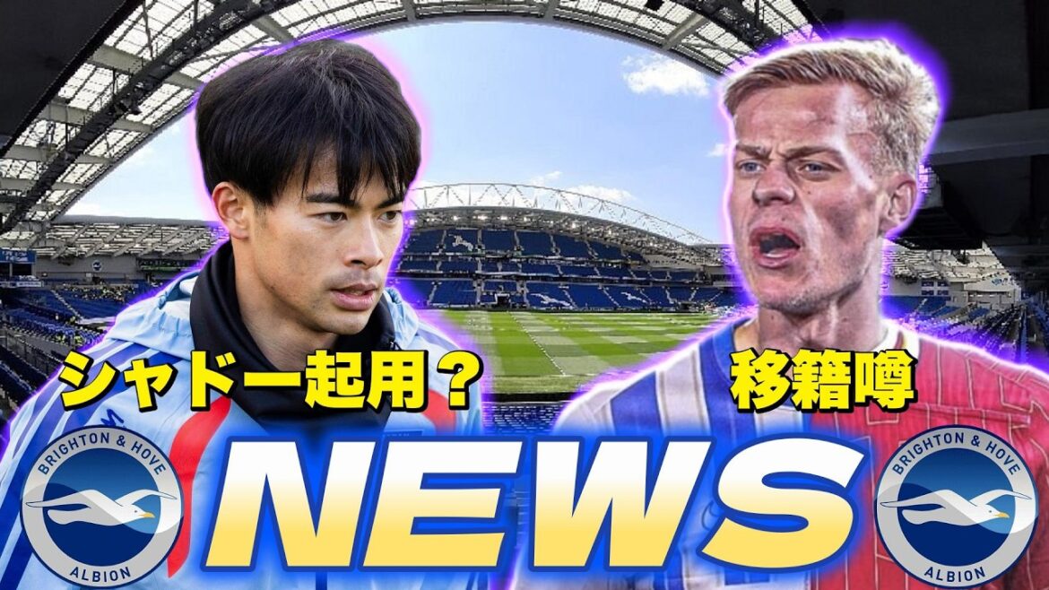 ブライトンNEWSまとめ！