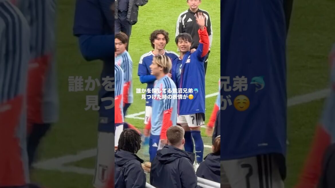イングランド戦後の鷺沼兄弟 #サッカー #サッカー日本代表 #三笘薫 #田中碧