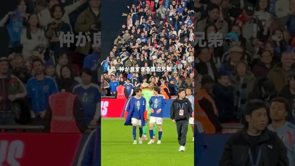 イングランド戦後の鷺沼兄弟が微笑ましい #サッカー #サッカー日本代表 #三笘薫 #田中碧