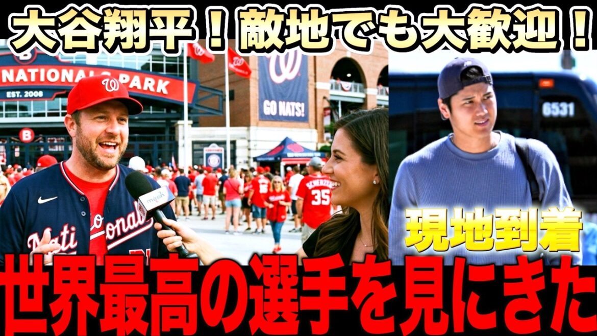 【大歓迎】大谷翔平がワシントンで歓迎される理由!ドジャースが次戦ナショナルズ戦へ