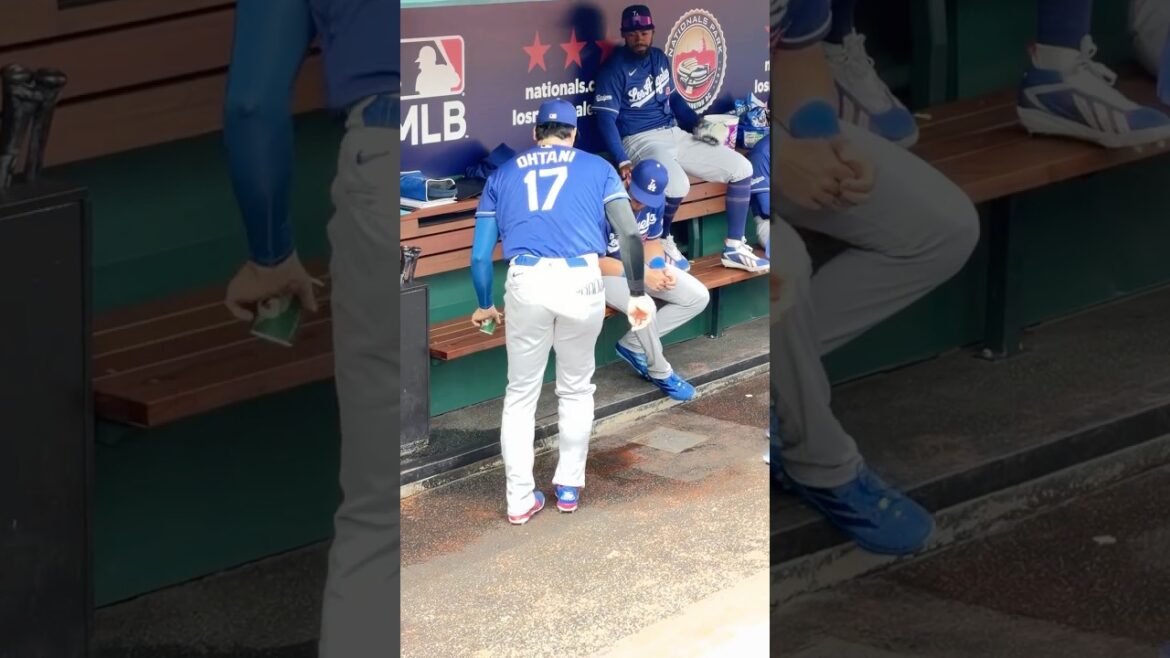 大谷翔平がダグアウトを掃除!😚 敵地ナショナルズ戦