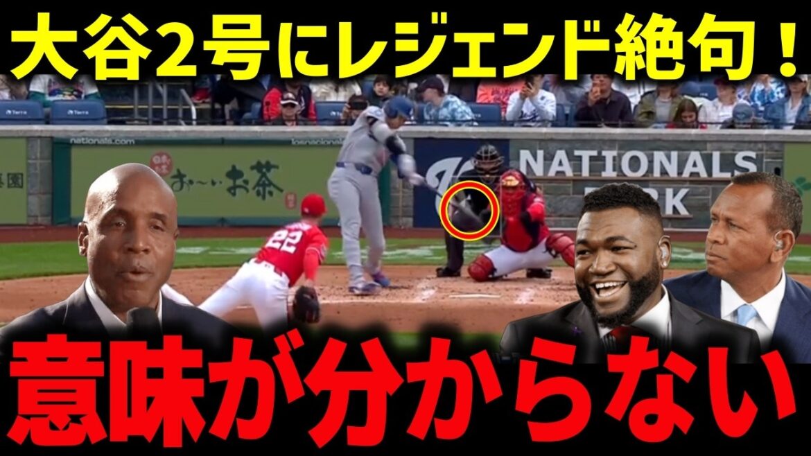 大谷翔平2号で敵地ナショナルズ騒然「まさかここまでとは…」雨の神対応にレジェンドも騒然