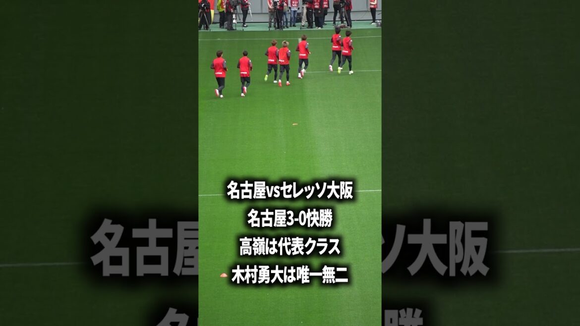 高嶺は代表に入るべき存在