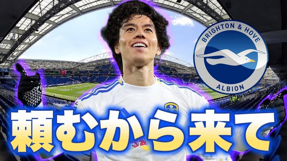 田中碧さん、ぜひブライトンに来ていただけませんか？