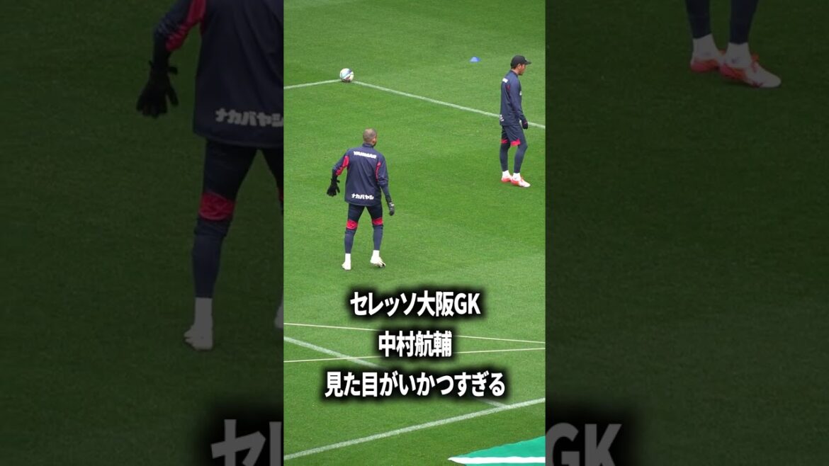 中村航輔いかつすぎる