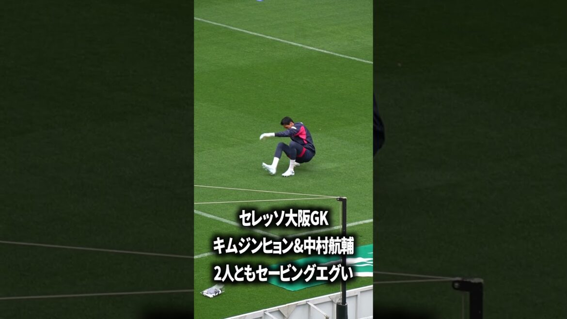セレッソのGK層すごい セレッソのGK層すごい