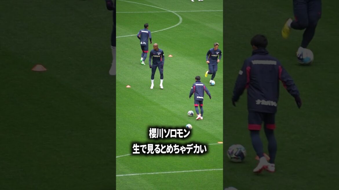 櫻川ソロモンめちゃデカい 櫻川ソロモンめちゃデカい