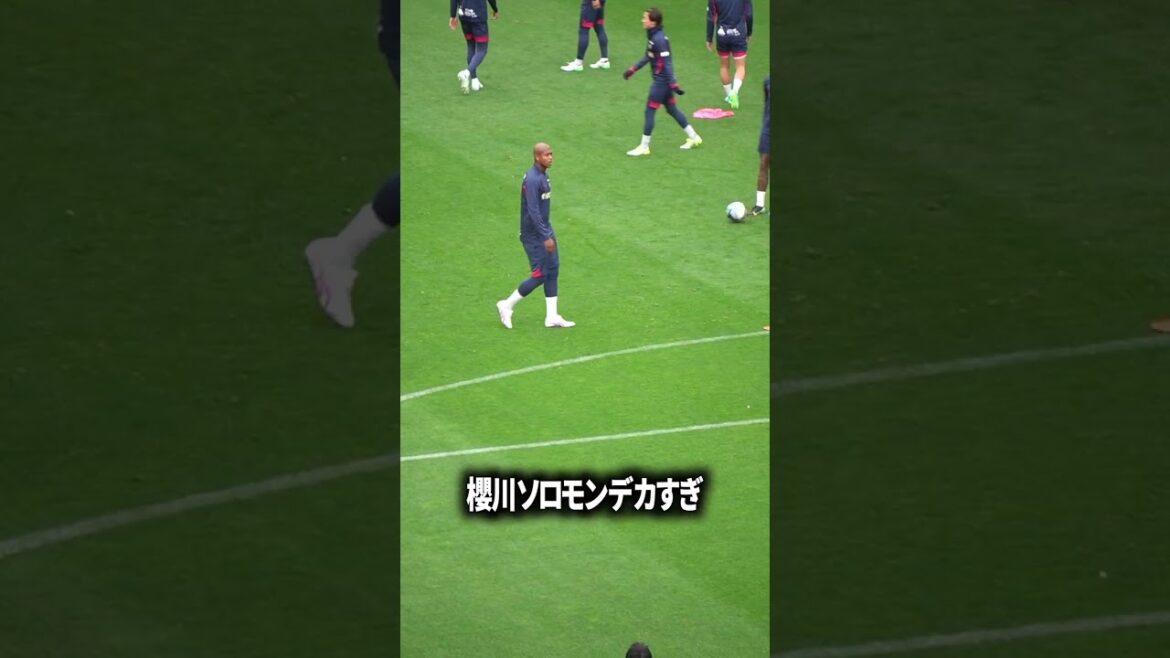 櫻川ソロモンはどうすれば活きる？