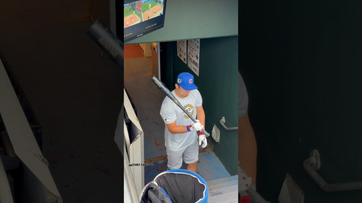 鈴木誠也フリーバッティング敢行!