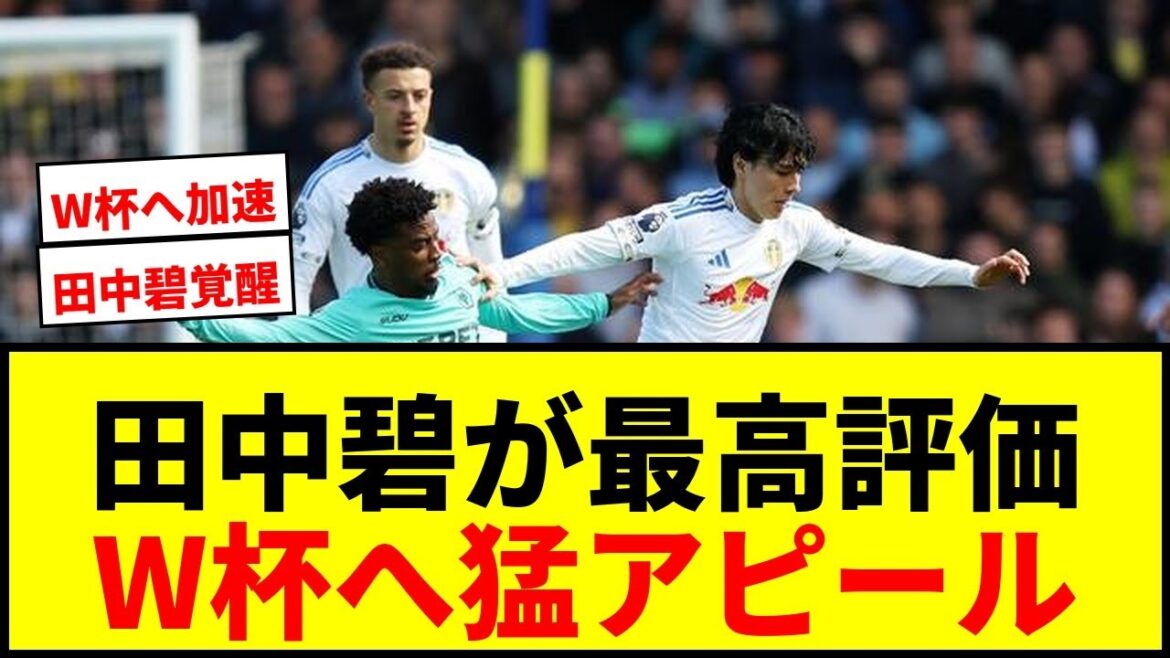 【速報】田中碧が2試合連続先発勝利！現地最高評価でW杯へ猛アピール！