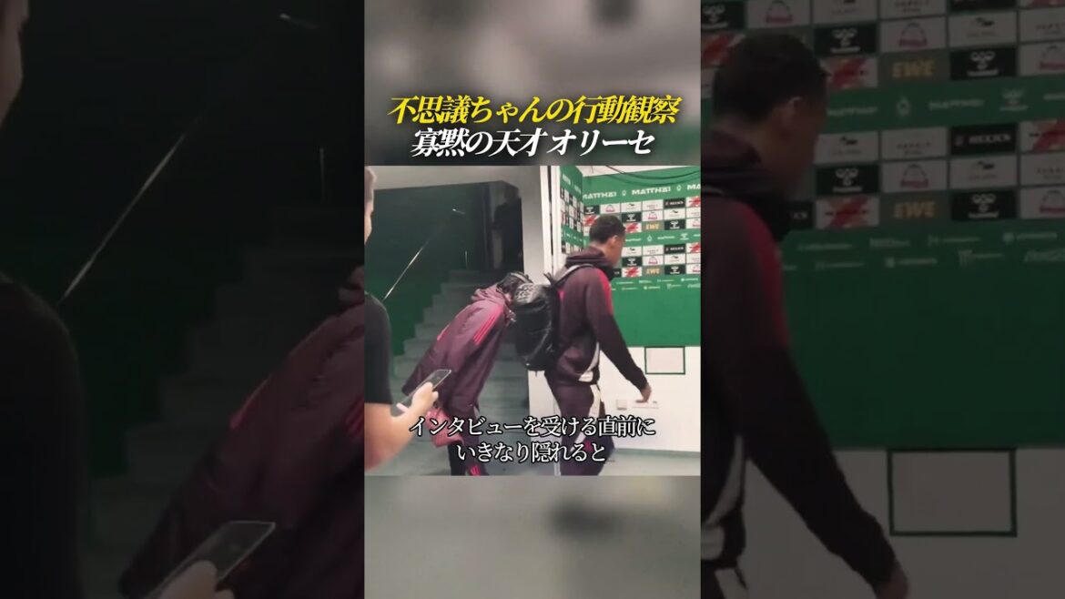 不思議ちゃんの行動観察 寡黙の天才 オリーセ