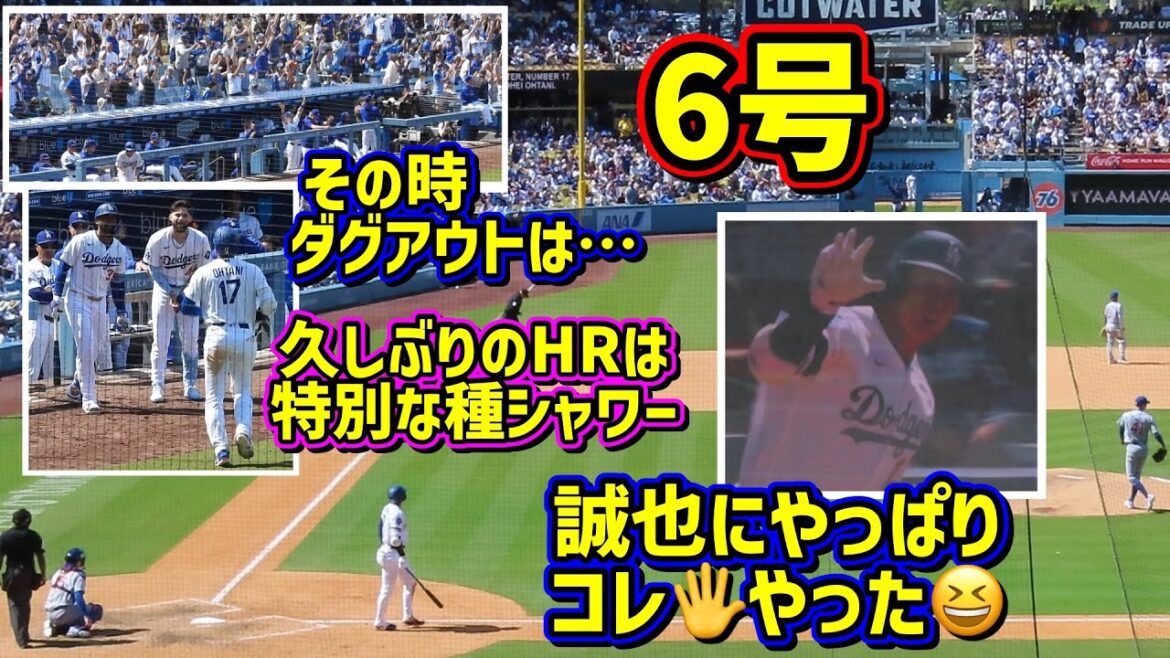 6号‼️仲良し誠也の目の前で打つ🖐️12試合ぶりのホームランで特別な種シャワー😆 【現地映像】4/26vsカブスShoheiOhtani Homerun