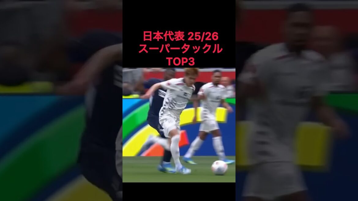 日本代表 25/26  スーパータックルTOP3