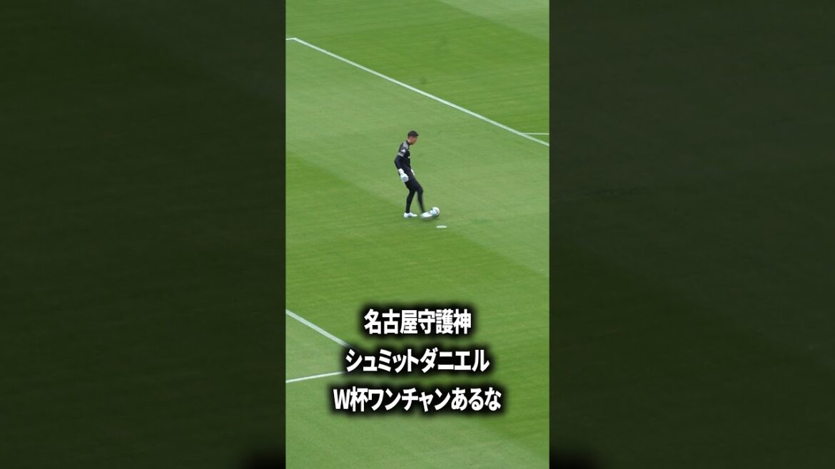 シュミットワンチャンW杯