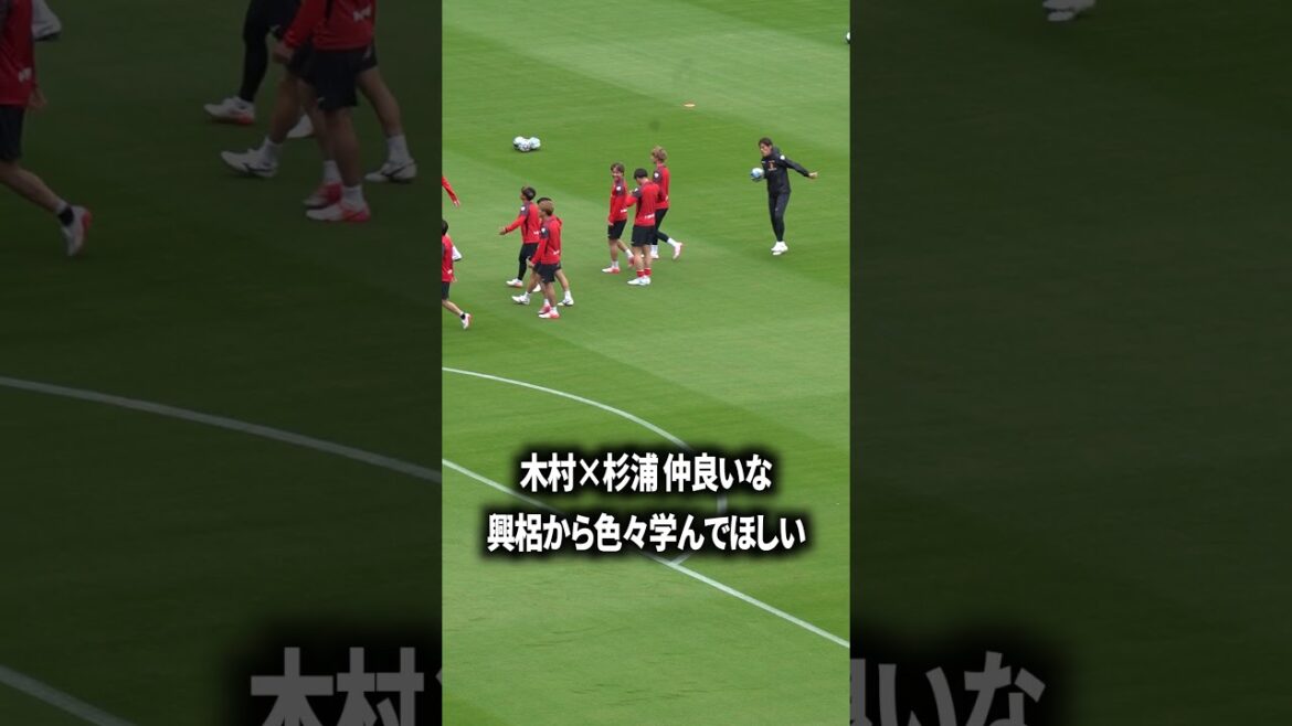 木村×杉浦には期待大