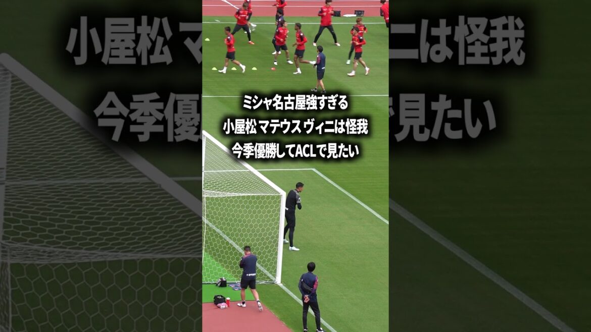 ミシャ名古屋をACLで見たすぎる