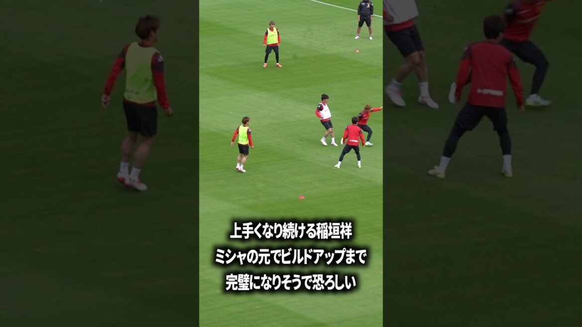 稲垣祥の成長が怖い