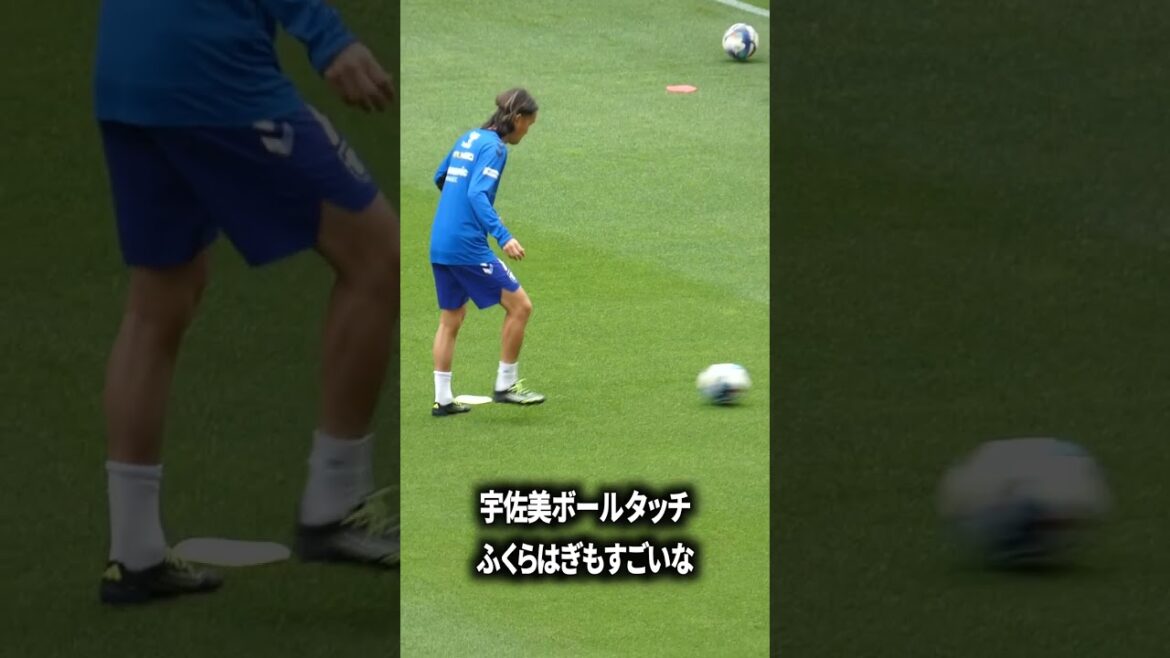 宇佐美のボールタッチの質