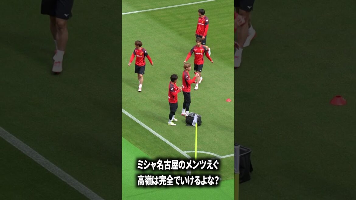 高嶺が最強すぎて最高