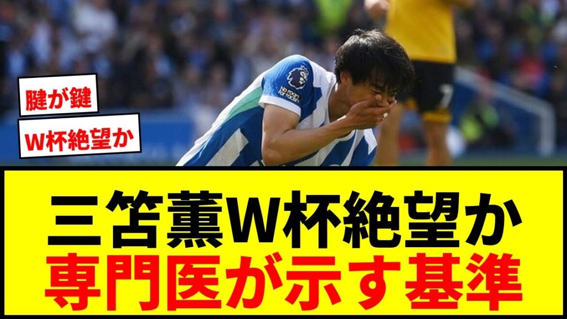 【速報】三笘薫、W杯出場は絶望的か？整形外科医が示す「セーフ」と「アウト」の基準