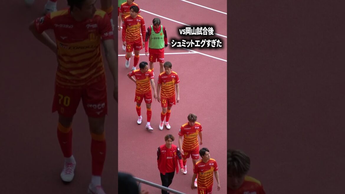 シュミットはマジで神