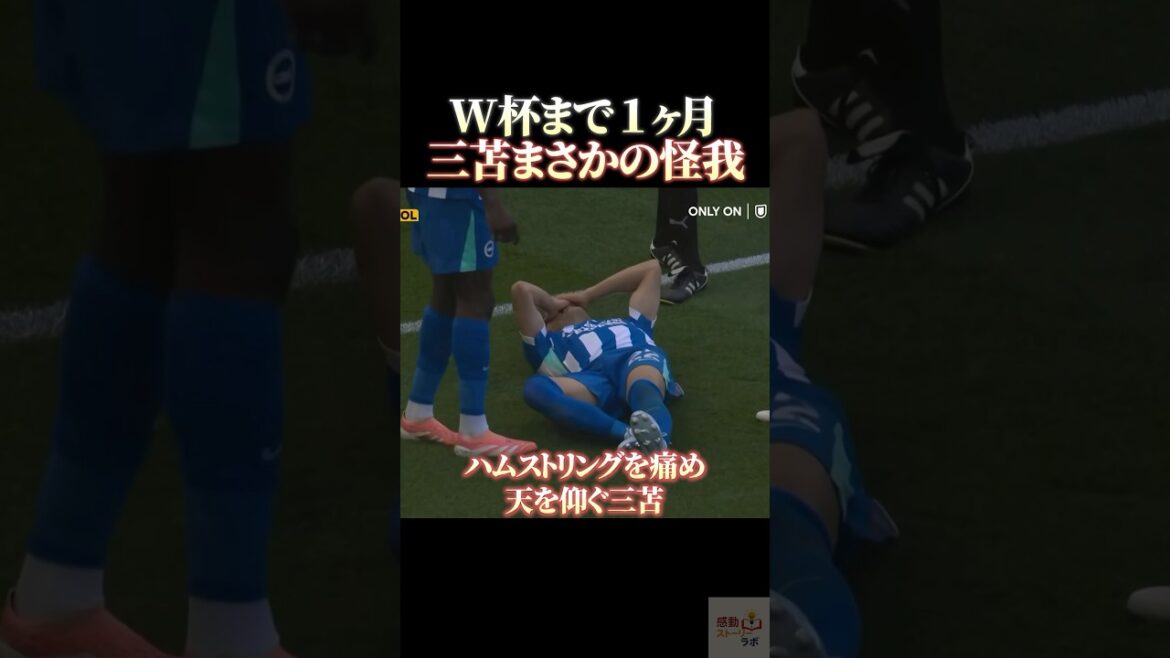 W杯まで1ヶ月 三笘薫まさかの怪我 #感動  #サッカー日本代表 #三笘薫 #サッカー