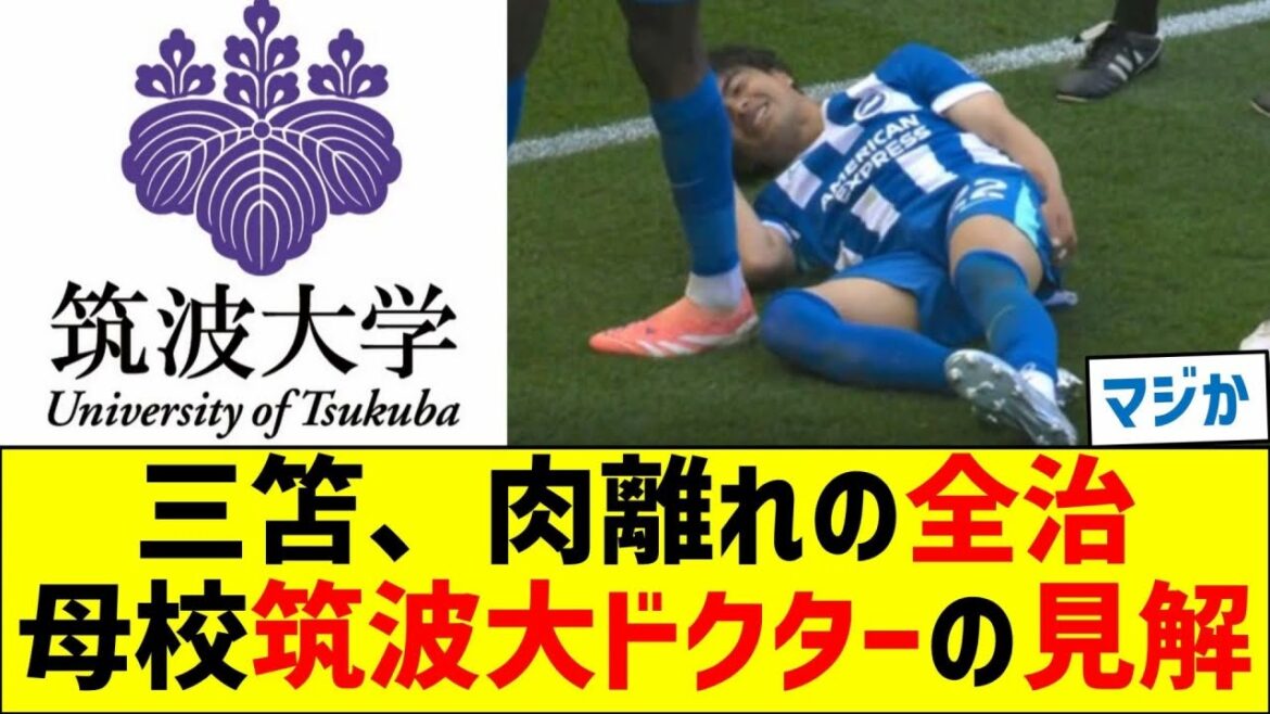 三笘、肉離れの全治　母校筑波大蹴球部ドクターの見解