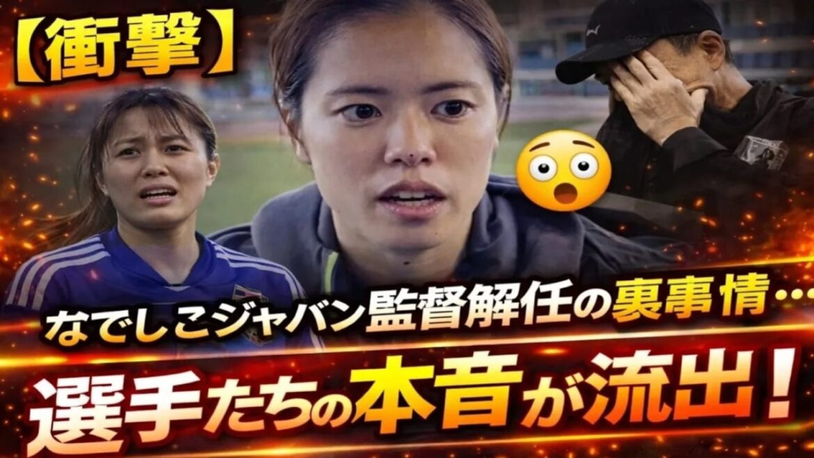 【衝撃】なでしこジャパン監督解任の裏事情…選手たちの本音が明らかに！電撃発表に世界が驚愕【海外の反応】