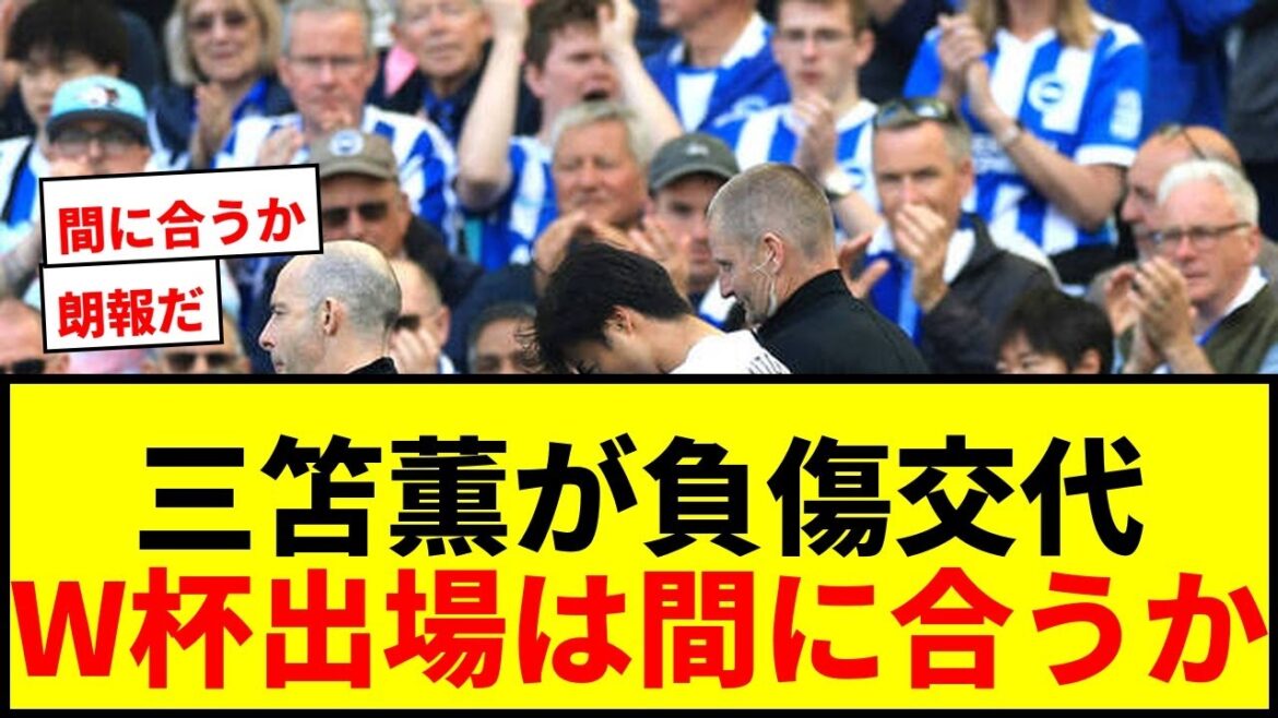 【速報】三笘薫、左もも裏肉離れもW杯オランダ戦出場に専門家見解「可能性は残されている」