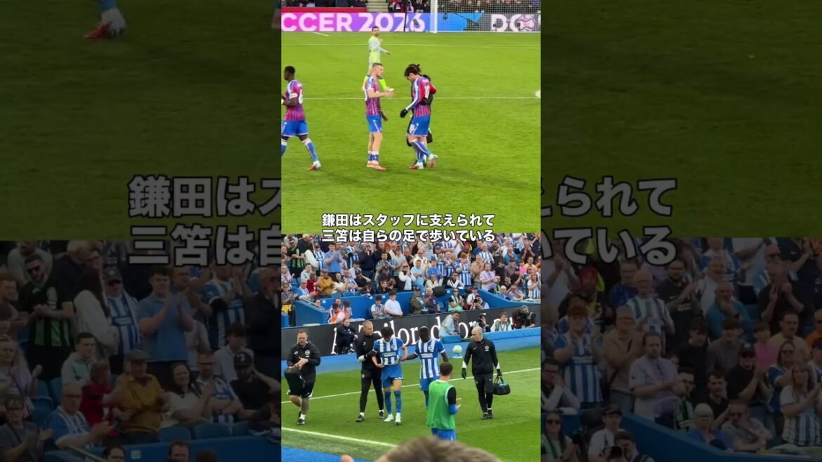 三笘薫と鎌田大地の怪我した後を比較してみよう #サッカー #サッカー日本代表 #三笘薫 #鎌田大地