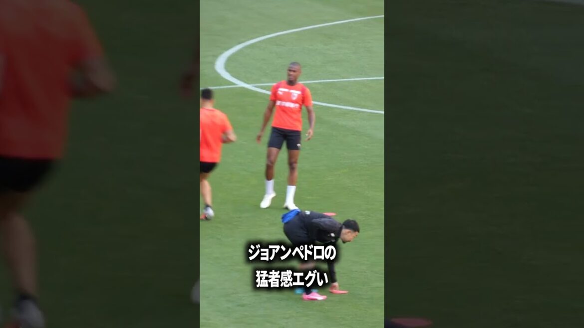 ジョアンペドロの圧倒的猛者感