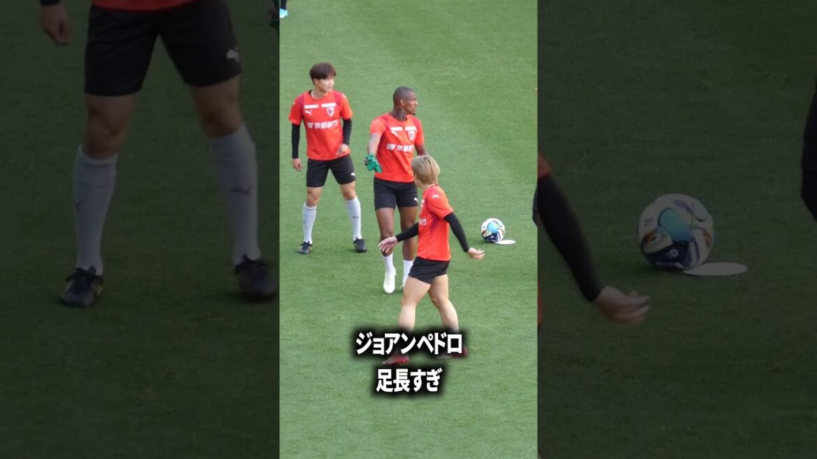 ジョアンペドロ脚長すぎ ジョアンペドロ脚長すぎ