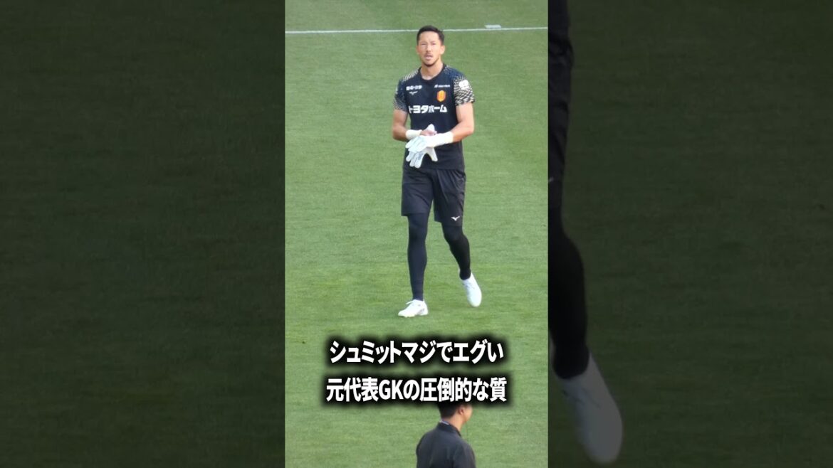 シュミットはマジでエグい