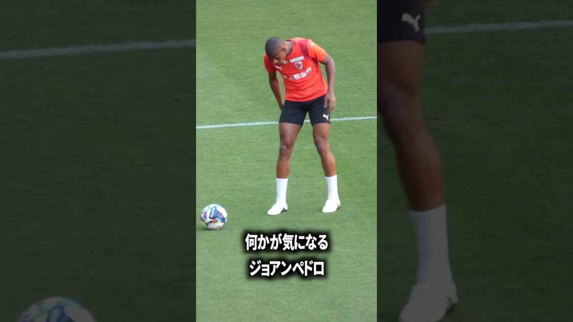 何かが気になるジョアンペドロ