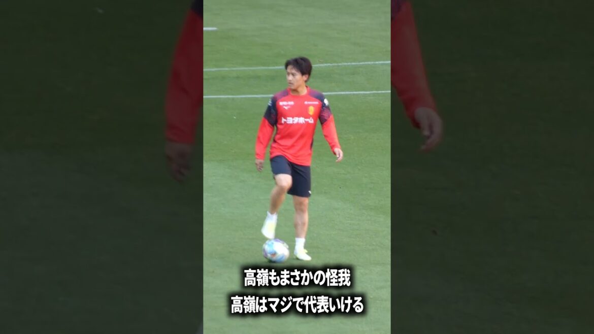 高嶺を代表でみたい
